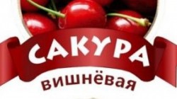 Сакура Вишневый сидр