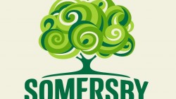 SOMERSBY BLACKBERRY светлое 4,0% 2+1